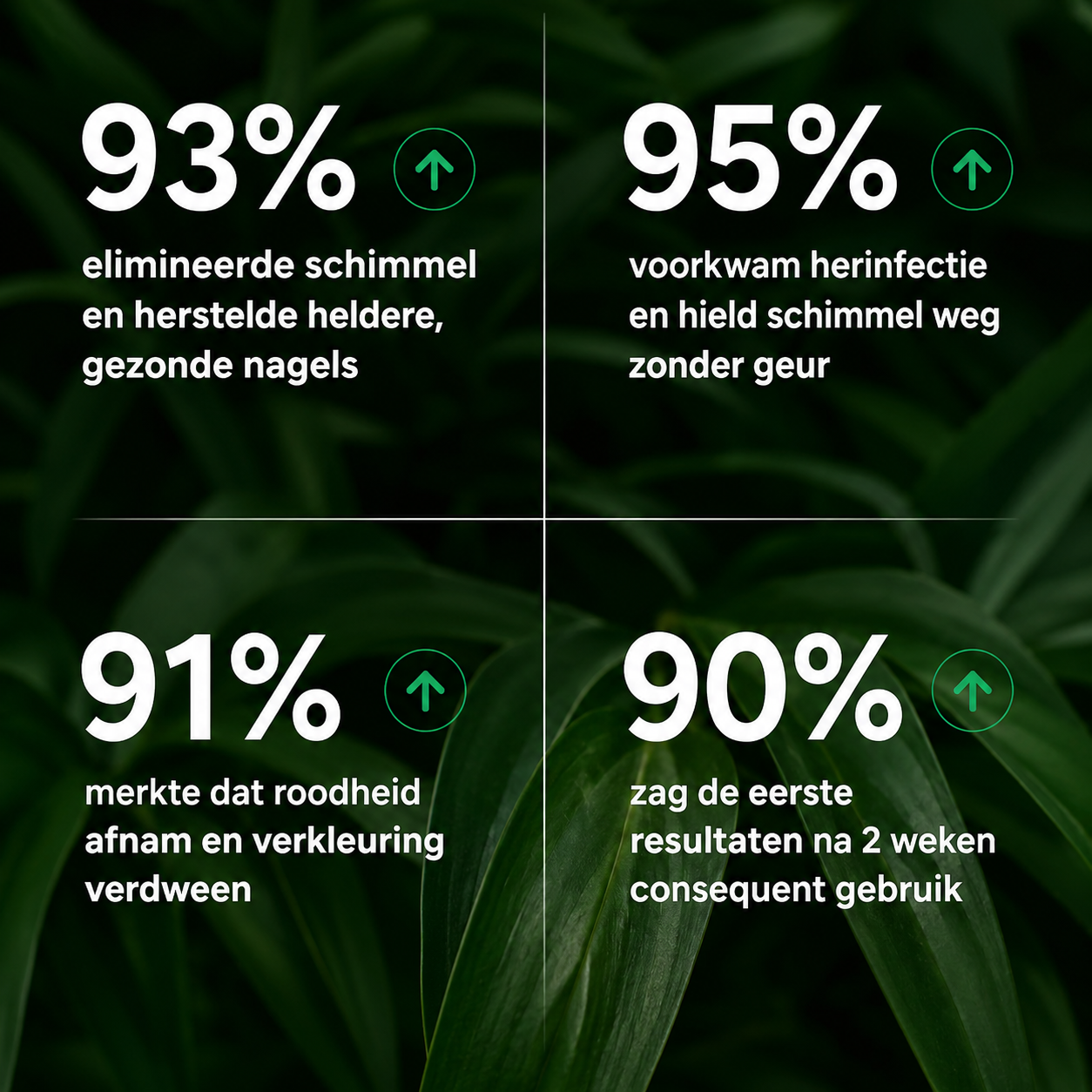 Behandelpen tegen voetschimmel