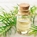 Tea Tree Olie